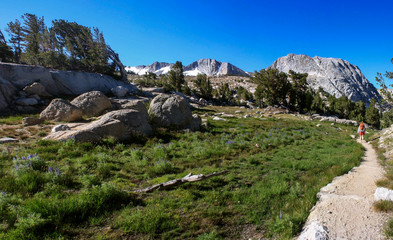 Wall Mural - Hiker Backpacking to Vogelsang High Sierra Camp in Yosemite National Park in California