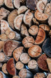 © Gillian Vann/Stocksy - cut timber for firewood