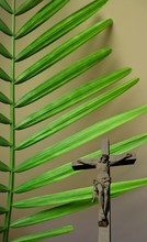 Palm Branch With Crucifix Superimposed Over Top - Concept That Christ Is Loving King Who Gave Himself In Our Place And Palm Sunday Theme