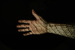 © Justin Mullet/Stocksy - Hand in front of black background with binary code projected onto the skin.