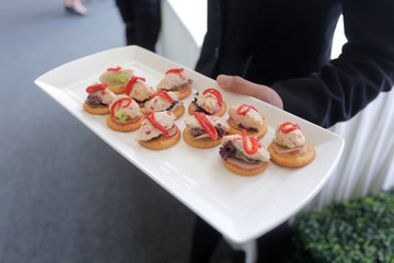 waiter serving appetizers on a white plate