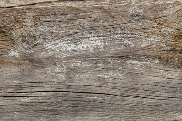 Brownish Old Weathered Wood Texture