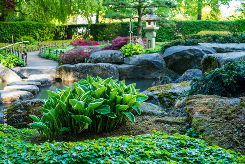 D Bayern Augsburg Botanischer Garten Japanischer Garten Im