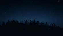 Mountain Forest Under The Night Sky
