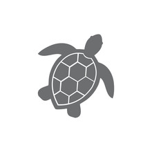Illustration Of Sea Turtle Icon