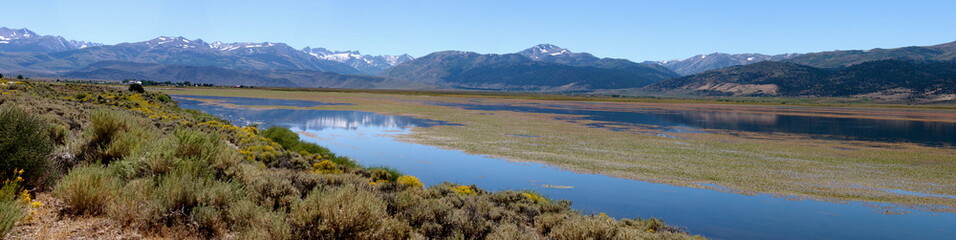 Wall Mural - Reservoir in Bridgeport California in the Eastern Sierra Nevada Mountains in Stanislaus National Forest