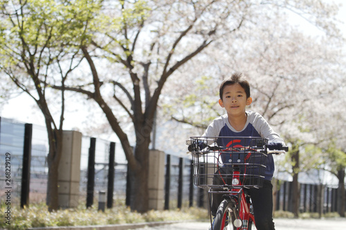 桜の下で自転車に乗る小学生 4年生 Buy This Stock Photo And