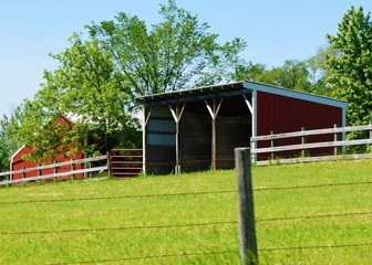 Wall Mural - Animal Shelter in a Field