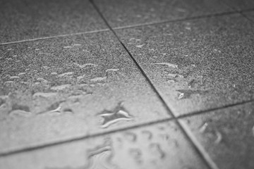 Wall Mural - Water drops on the tile floor