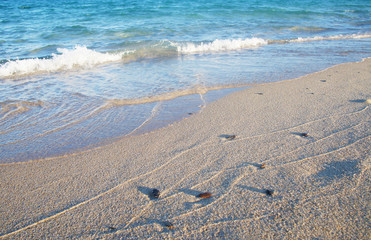 Canary Islands nature. Seashore in the bay in summer.