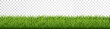 Green grass border set on transparent background. Vector Illustration