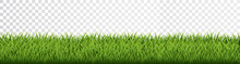 Green Grass Border Set On Transparent Background. Vector Illustration