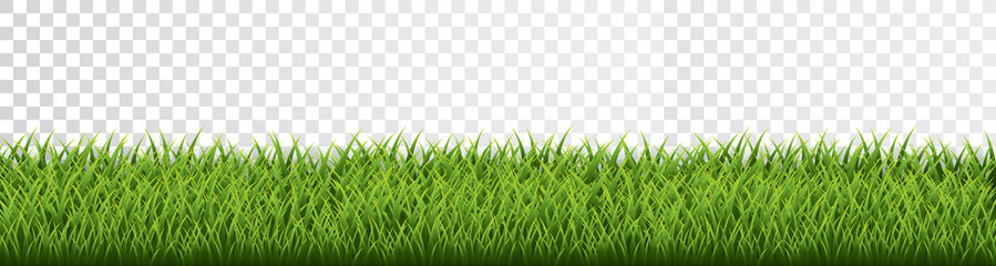 green grass border set on transparent background. vector illustration
