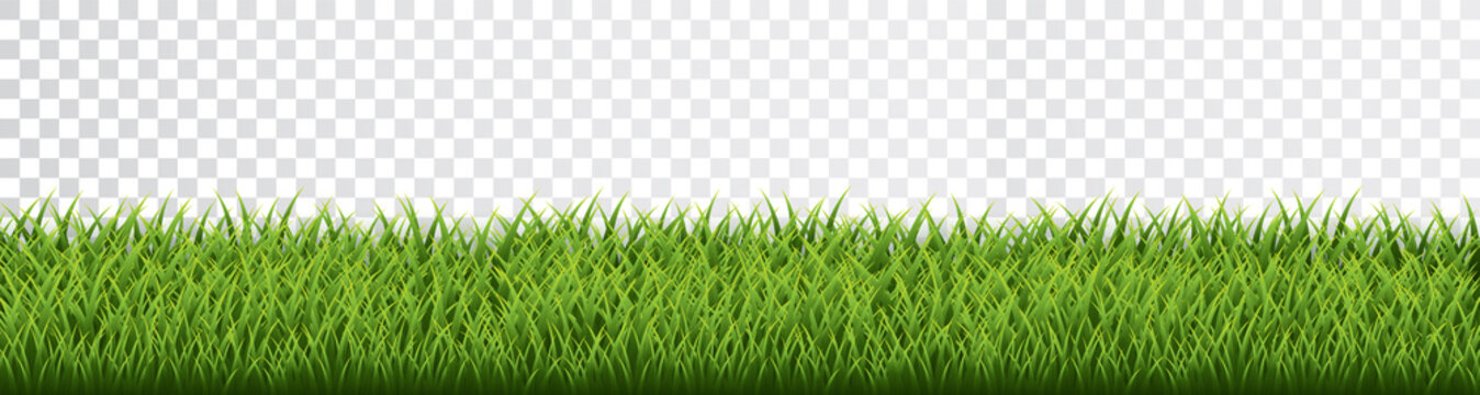green grass border set on transparent background. vector illustration