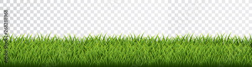 Fotografía Green grass border set on transparent background