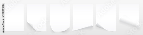 Fotomural Blank A4 sheet of white paper with curled corner and shadow, template for your design