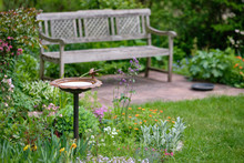 Idyllic View Of A Beautiful Green And Growing  Springtime Garden With Flowering Plants, Grass And A Bird Bath And A Wooden Bench On A Sunny Day