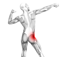 conceptual hip human anatomy with red hot spot inflammation articular joint pain for leg health care