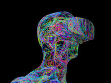 Man Wearing Virtual Reality Glasses Consisting Of Tangled Colored Wires