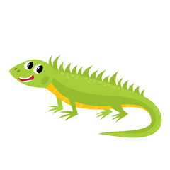 Vector illustration of cartoon while animal - iguana isolated on white