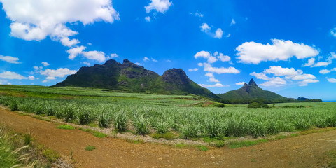 Poster - mauritius