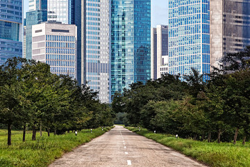 Nature next to the City