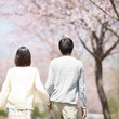 © ohayou! - 桜の前で手をつなぐカップルの後姿