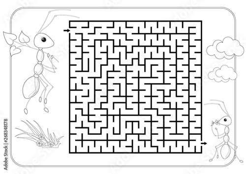 Labyrinth Maze Conundrum Coloring Book Page For Kids Entry And Exit Advanced Level Of Complexity Ant