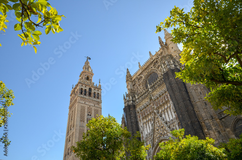 セビリア大聖堂とヒラルダの塔 スペイン セビリア Adobe Stock でこのストック画像を購入して 類似の画像をさらに検索 Adobe Stock セビリア大聖堂とヒラルダの塔 スペイン セビリア Adobe Stock でこのストック画像を購入して 類似の画像をさらに検索 Adobe Stock