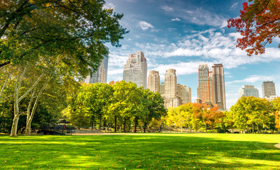 Sticker - Beautiful foliage colors of New York Central Park