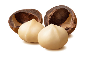 Wall Mural - peeled macadamia nuts and empty nutshells isolated on white background. with clipping path