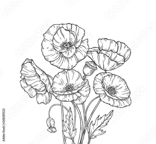 Art Flower Design Images Drawing - Images Gallery