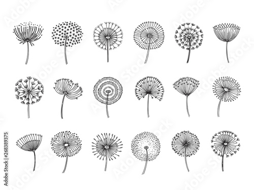 Valokuvatapetti Dandelion set