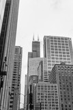 Fototapeta Miasta - Skyscrapers of Chicago in the fog