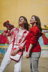 Wall Mural - Two pretty stylish hipster girls with skateboards