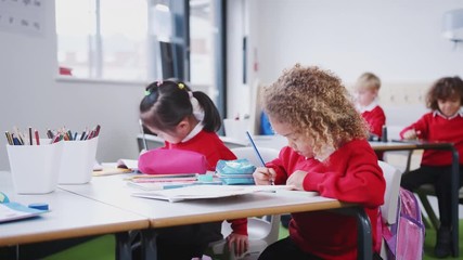 Wall Mural - Young girls in school uniforms working at desk in an infant school classroom, close up, low angle