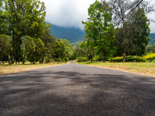 Wall Mural - Bali Handara Garden Park And The Road Scenery At Bedugul, Bali, Indonesia, November 2018