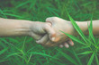 © artit - Farmers holding hands in cannabis fields.