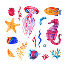 Nautical Elements, Sea Life, Fish, Seahorse, Urchin, Starfish Watercolor Illustration, Isolated On White Background