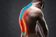 © staras - Pain in the spine, a man with backache, injury in the human back, chiropractic treatments concept