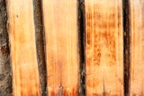 Fototapeta Dziecięca - wooden texture close up