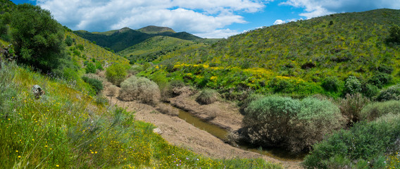 Wall Mural - Ribeira de Piscos, Côa Valley, Western Iberia, Portugal, Europe, Rewilding Europe