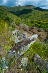 Wall Mural - Ribeira de Piscos, Côa Valley, Western Iberia, Portugal, Europe, Rewilding Europe