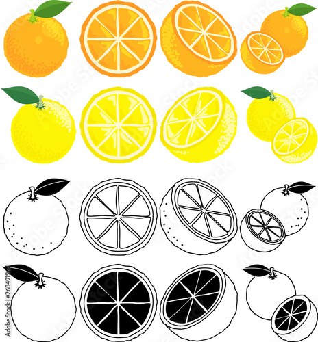 オレンジとグレープフルーツの可愛いアイコン Stock Vector Adobe Stock オレンジとグレープフルーツの可愛いアイコン Stock Vector Adobe Stock
