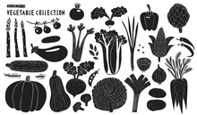 Scandinavian Hand Drawn Vegetables. Monochrome Graphic. Fruits Background. Linocut Style. Healthy Food. Vector Illustration