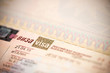 © Fabio Balbi - Fragment of a visa of the Russian Federation in the passport