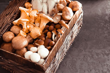 Variety Of Uncooked Wild Forest Mushrooms In A Wicker Basket On A Black Background, Flat Lay. Mushrooms Chanterelles, Honey Agarics, Oyster Mushrooms, Champignons, Portobello, Shiitake