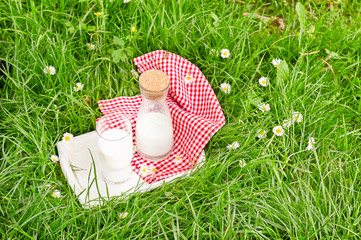 A bottle of milk and a glass on the green grass. Environmentally friendly product for a healthy diet.