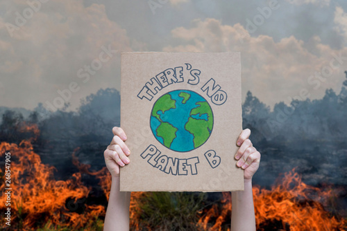 Climate change manifestation poster on a forest burning background: there is no planet b. Deforestation and destruction concepts