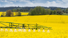 Agricultural Sprayer Detail. Flowering Rapeseed Field. Brassica Napus. Working Spraying Machine In Yellow Canola Land. Spring Landscape. Chemical Fertilizers, Toxic Pesticides, Insecticides. Ecology.